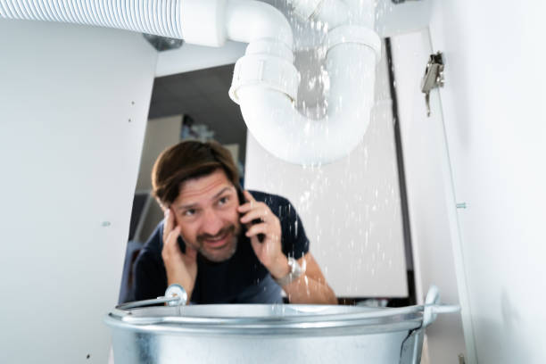 Best Water Leak Repair  in Shanor Northvue, PA